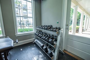Free weights